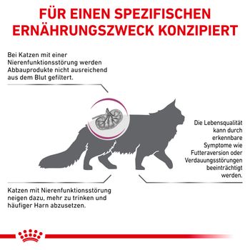 Royal Canin Renal Special Katze Trockenfutter Royal Canin Renal Special Katze Trockenfutter
