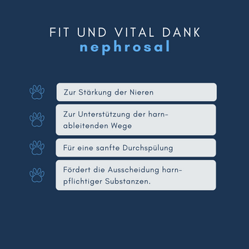 Navalis Nephrosal Dog für Hunde Navalis Nephrosal Dog für Hunde