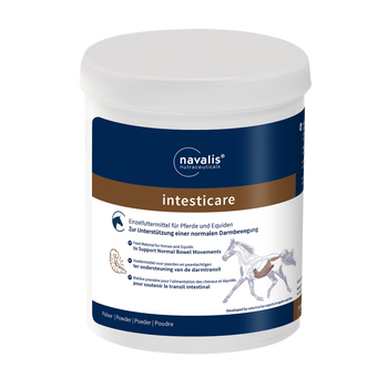 Navalis intesticare Horse Navalis intesticare Horse