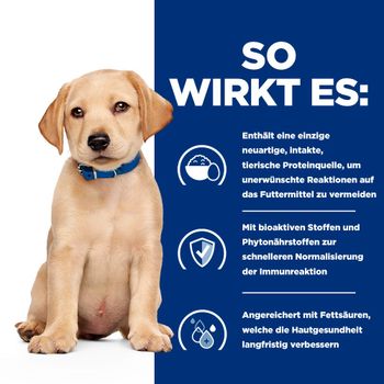 Hils Prescription Diet Derm Complete Puppy mit Reis und Ei Trockenfutter für Hunde