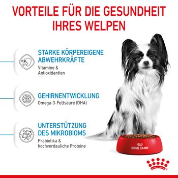 Royal Canin X-Small Puppy Trockenfutter für Hunde