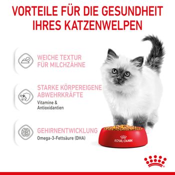 Royal Canin Kitten Frischebeutel mit Gelee