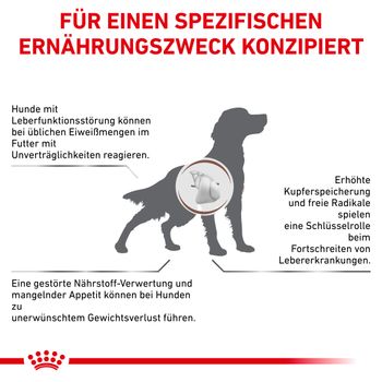 Royal Canin Hepatic Trockenfutter für Hunde