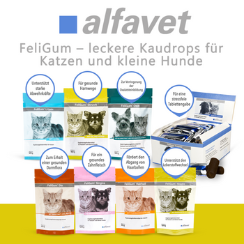 alfavet FeliGum Hepato für Hund und Katze alfavet FeliGum Hepato für Hund und Katze