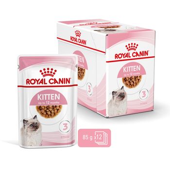 Royal Canin Kitten Frischebeutel in Soße