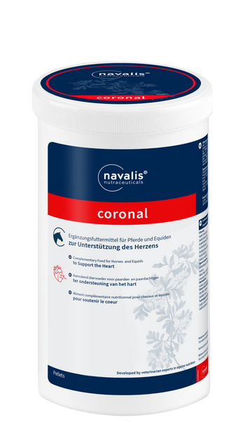 Navalis Coronal Horse