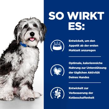 Hills ON-Care Ragout für Hunde mit Huhn und zugefügtem Gemüse