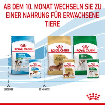 Royal Canin Mini Puppy Frischebeutel in Soße Royal Canin Mini Puppy Frischebeutel in Soße