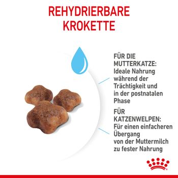Royal Canin Mother & Babycat Trockenfutter für Katzen