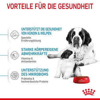 Royal Canin Giant Starter Trockenfutter