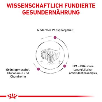 Royal Canin Early Renal Trockenfutter für Katzen