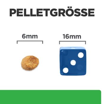 Hills Feline r/d Trockenfutter für Katzen