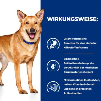 Hills i/d Hundefutter mit Truthahn in kleinen Dosen