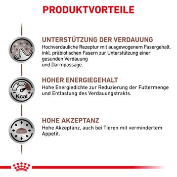 Royal Canin Gastrointestinal Trockenfutter für Katzen