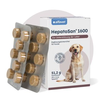 alfavet HepatoSan für die Leber von Hund und Katze