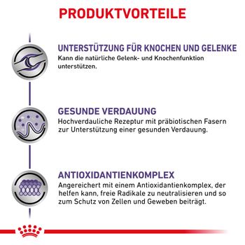 Royal Canin Adult Large Dogs Trockenfutter für Hunde