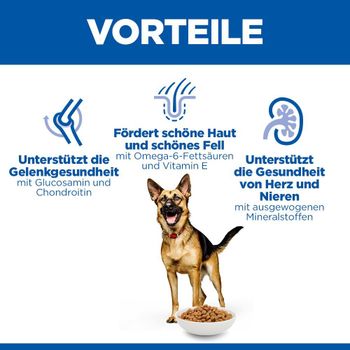 Hills Science Plan Canine Mature Adult 6+ Large Breed Hund Trockenfutter