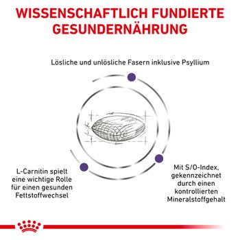 Royal Canin Neutered Satiety Balance Trockenfutter für Katzen