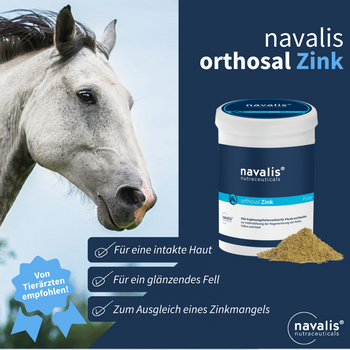 Navalis Orthosal Zink Horse für Pferde