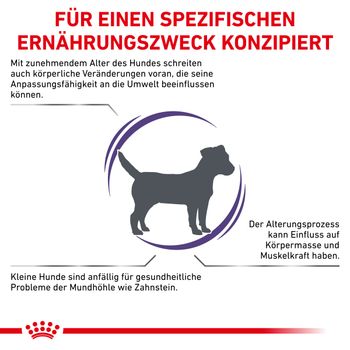 Royal Canin Mature Consult Small Dogs Trockenfutter für Hunde