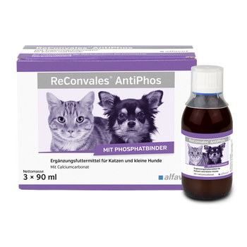 Alfavet ReConvales AntiPhos