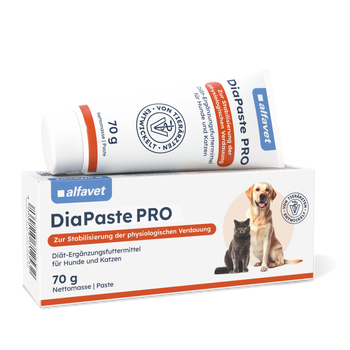 alfavet Dia Paste PRO für Hunde und Katzen