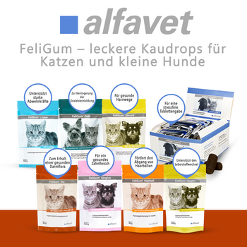 alfavet FeliGum Dia für Katzen