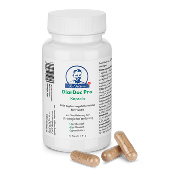 Dr. Hölter DiarDoc Pro - Probiotika für Hunde