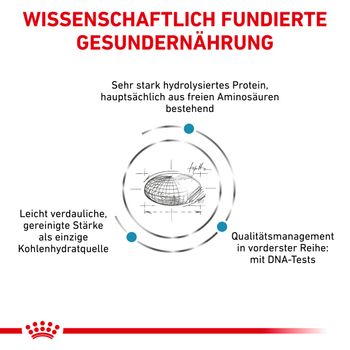 Royal Canin Anallergenic Trockenfutter für Hunde