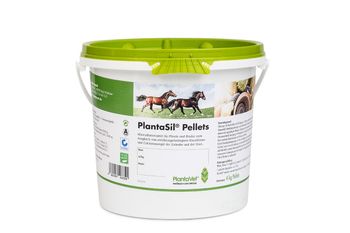 PlantaVet PlantaSil Hund Pferd Ziervögel PlantaVet PlantaSil Hund Pferd Ziervögel