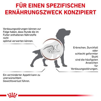 Royal Canin Gastrointestinal Trockenfutter für Hunde