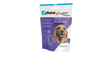 Zylkene für Hund und Katze gegen Stress und Angst