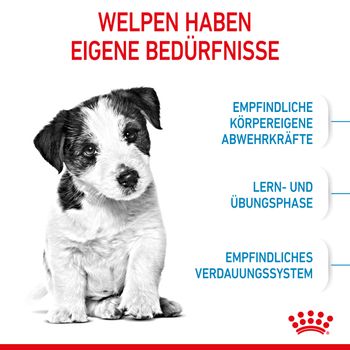 Royal Canin Mini Puppy Trockenfutter für Welpen kleiner Hunderassen Royal Canin Mini Puppy Trockenfutter für Welpen kleiner Hunderassen