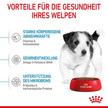 Royal Canin Mini Puppy Trockenfutter für Welpen kleiner Hunderassen Royal Canin Mini Puppy Trockenfutter für Welpen kleiner Hunderassen