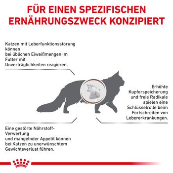 Royal Canin Hepatic Trockenfutter für Katzen