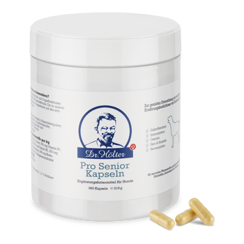 Dr. Hölter Pro Senior