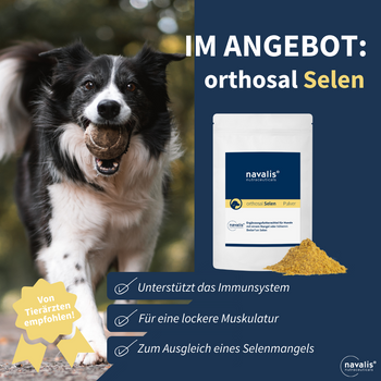 Navalis Orthosal Selen Dog für Hunde Navalis Orthosal Selen Dog für Hunde