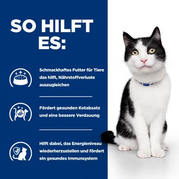 Hills i/d Trockenfutter mit ActivBiome+ für Katzen