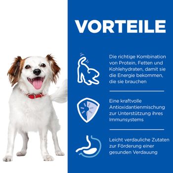 Hills Science Plan Small & Mini Adult Mousse für Hunde mit Rindfleisch Dosenfutter