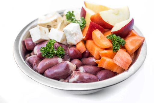 selbst zubereitetes Hundefutter und Katznefutter Fleisch Gemüse und Obst in einem Futternapf