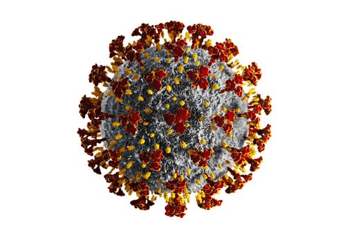 Coronavirus SARS-CoV-2 Coronavirus SARS-CoV-2