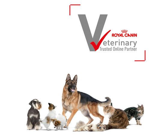 Tierarzt Dr. Hölter ist Royal Canin Veterinary Trusted Online Partner Royal Canin Veterinary Partner Tierarzt drhoelter