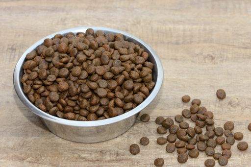 Trockenfutter im Napf