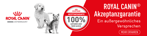 Regelmäßige Tierarztbesuche - darum ist es so wichtig!