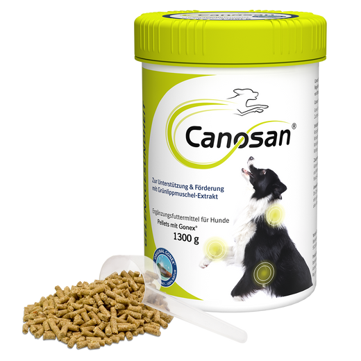 Canosan Hund mit Gonex von Boehringer Ingelheim
