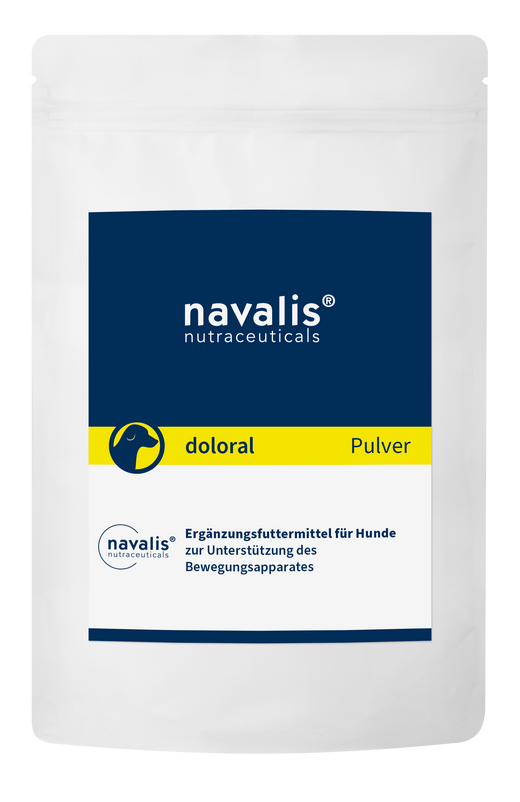Navalis Doloral Dog