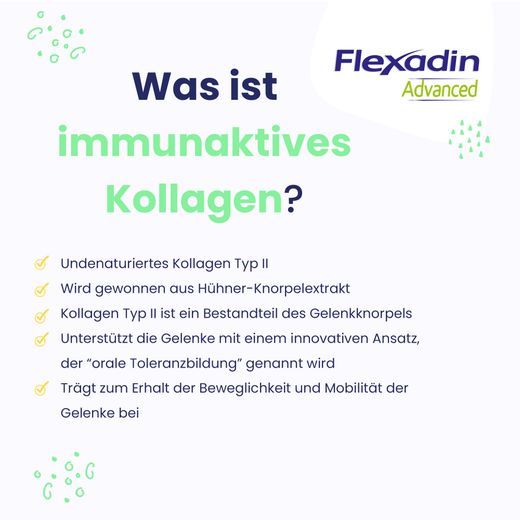 Vetoquinol Flexadin Advanced Hund Vetoquinol Flexadin Advanced Hund
