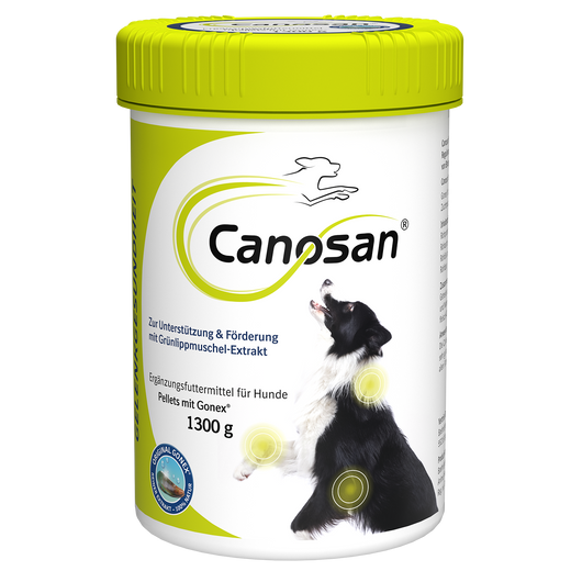 Canosan Hund mit Gonex von Boehringer Ingelheim