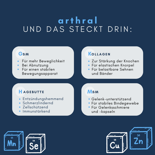 Navalis Arthral Horse für Pferde