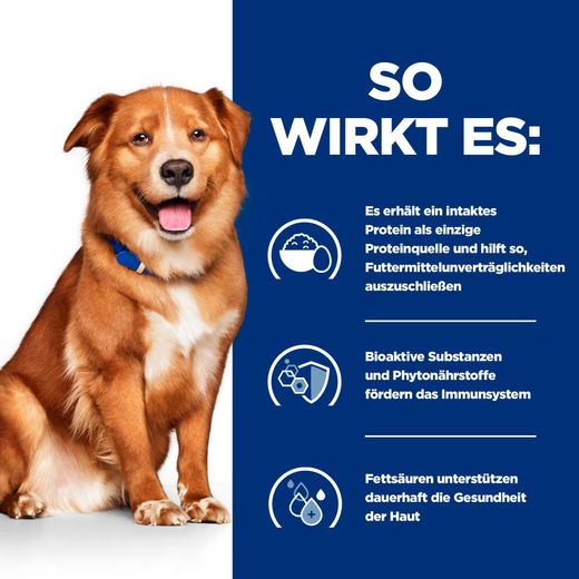 Hills Derm Complete Hundefutter in kleinen Dosen